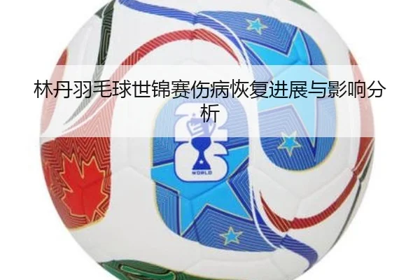 lin-dan-yu-mao-qiu-shi-jin-sai-shang-bing-hui-fu-jin-zhan-yu-ying-xiang-fen-xi-2-884.jpg